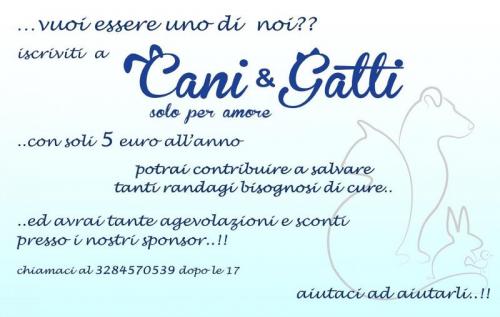 Cani & Gatti - Ancona