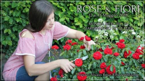 Rose E Fiori  - Mazzano