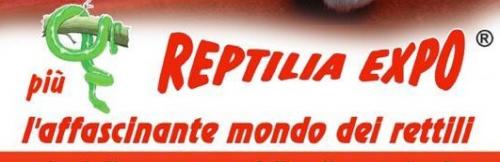 Reptilia Expo - Concesio