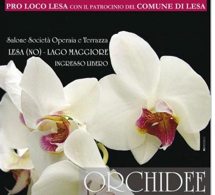 Mostra Mercato Internazionale Di Orchidee - Lesa