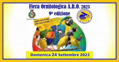 Mostra Scambio Ornitologica Aro A Colleferro - Colleferro