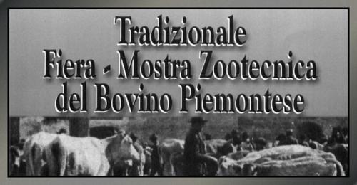 Mostra Zootecnica Del Bovino Di Razza Piemontese - Bra