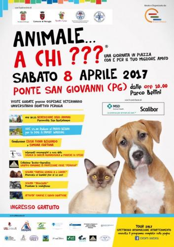 Animale A Chi??? - Perugia
