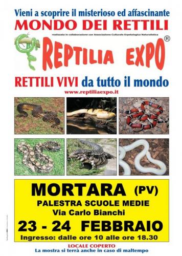 Reptilia Expo - L'affascinante Mondo Dei Rettili - Mortara (pv) - Mortara