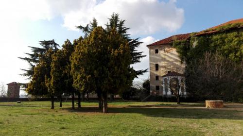 Castello Di Sanfrè - Sanfrè