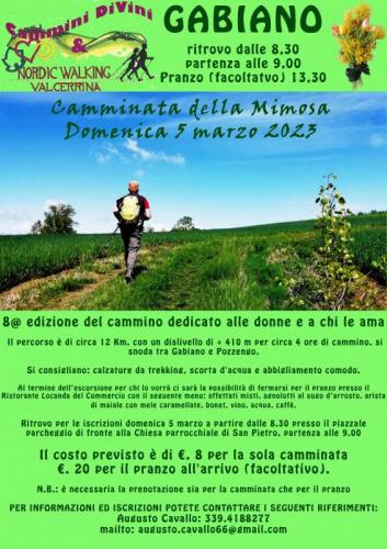 Camminata Della Mimosa - Mombello Monferrato