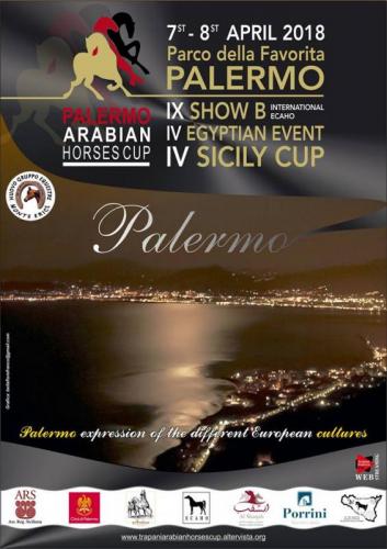 Palermo Arabian Horses Cup - Palermo