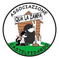 Iniziative Associazione Qua La Zampa - Castelfidardo