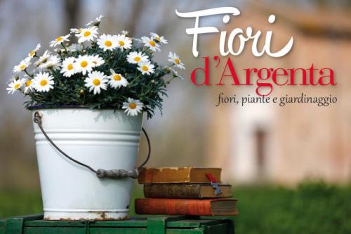 Fiori D'argenta - Argenta
