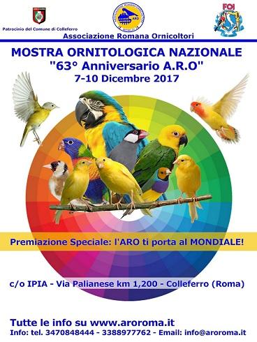 Mostra Mercato Ornitologica A Colleferro - Colleferro