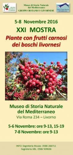 Mostra Botanica Di Piante Mediterranee - Livorno