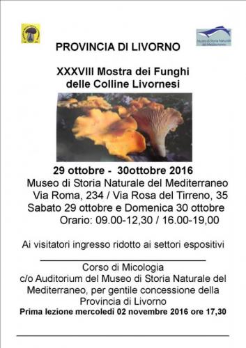 Mostra Di Funghi Delle Colline Livornesi - Livorno
