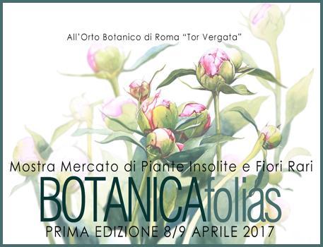 Botanicafolias - Roma