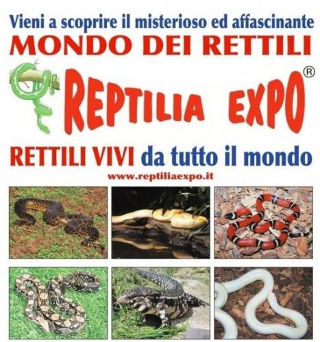 Reptilia Expo - L'affascinante Mondo Dei Rettili - Mazzano