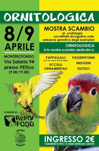Ornitologica - Monterotondo