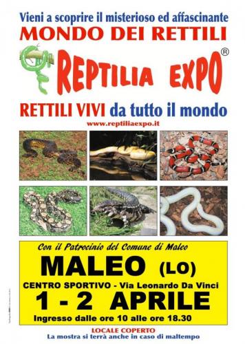 Reptilia Expo - L'affascinante Mondo Dei Rettili - Maleo  - Maleo