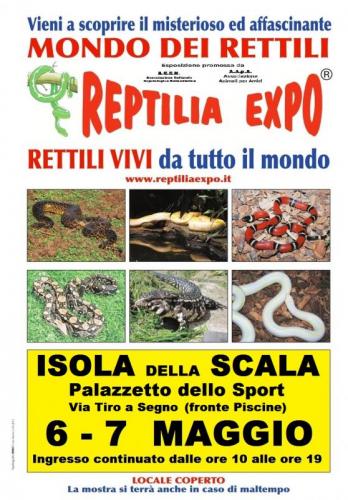 Reptilia Expo - L'affascinante Mondo Dei Rettili - Isola Della Scala  - Isola Della Scala