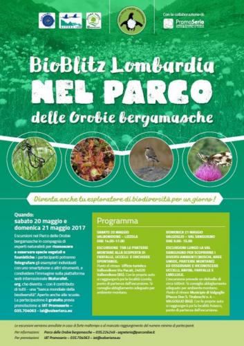 Bioblitz Lombardia - 