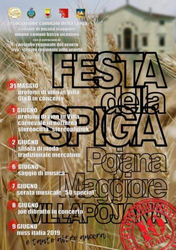 Festa Della Spiga A Pojana Maggiore - Pojana Maggiore