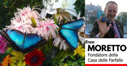 Open Days Alla Butterfly Arc - Montegrotto Terme