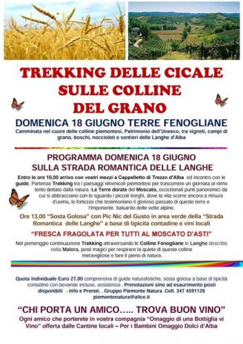 Trekking Delle Cicale - Trezzo Tinella