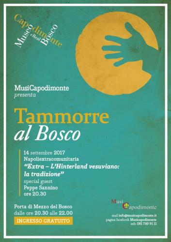 Tammorre Al Bosco - Napoli