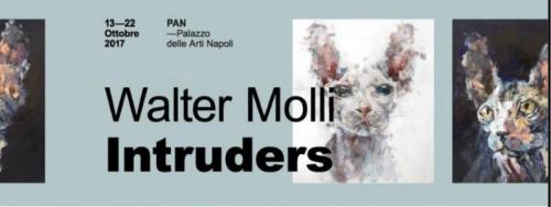 Personale Di Walter Molli - Napoli