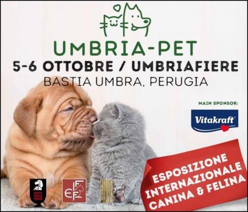 Perugia Pet - Bastia Umbra