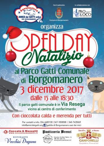 Open Day Natalizio - Borgomanero