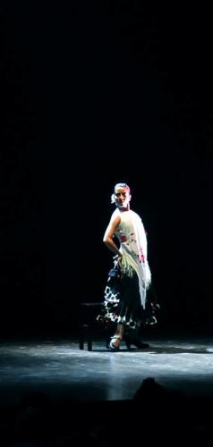 Stage Di Flamenco Intermedio-avanzato - Roma