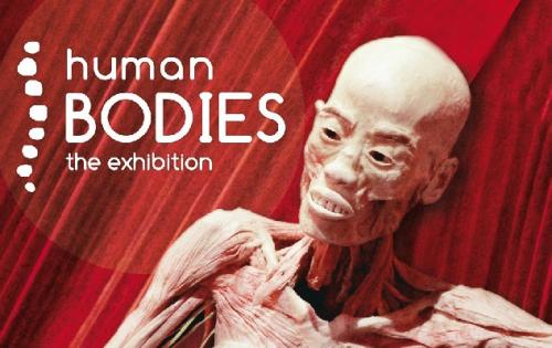 Human Bodies - Torino