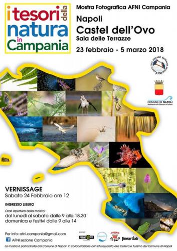 I Tesori Della Natura In Campania - Napoli