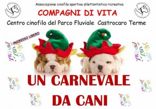 Un Carnevale Da Cani - Castrocaro Terme E Terra Del Sole