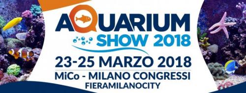 Aquarium Show - Milano
