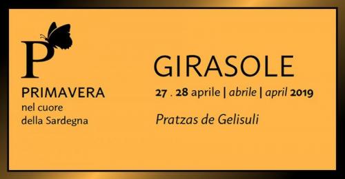 Primavera In Ogliastra A Girasole - Girasole
