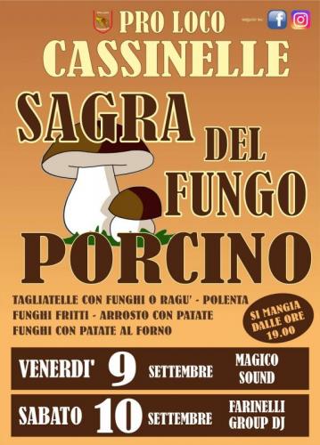 La Sagra Del Fungo Porcino A Cassinelle - Cassinelle