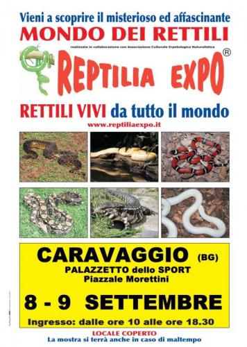 Reptilia Expo: L'affascinante Mondo Dei Rettili A Caravaggio - Caravaggio