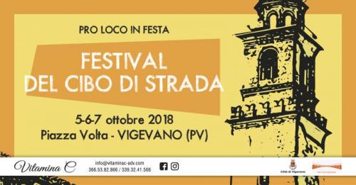 La Festa Della Proloco Di Vigevano - Vigevano