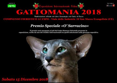 Gattomania Esposizione Internazionale Felina A Caserta - Caserta