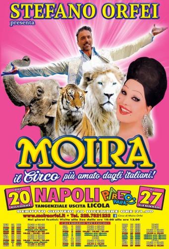 Il Circo Di Moira Orfei A Napoli - Napoli