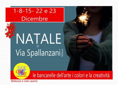 Mercatini Di Natale In Via Spallanzani A Milano - Milano