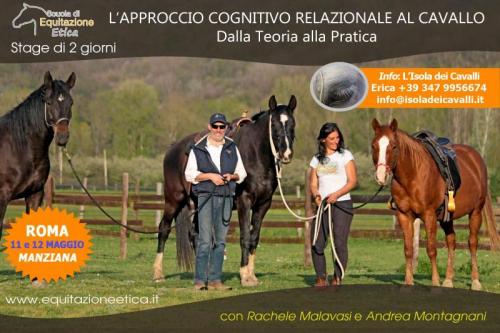 L'approccio Cognitivo-zooantropologico Al Cavallo A Manziana - Manziana