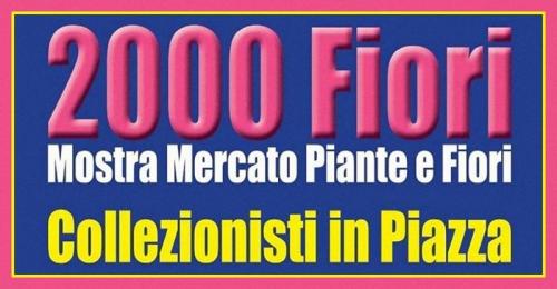 2000 Fiori A Scarperia - Scarperia e San Piero