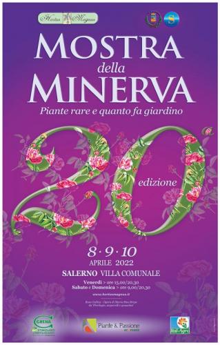 Mostra Della Minerva - Salerno