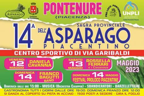Sagra Dell'asparago A Pontenure  - Pontenure