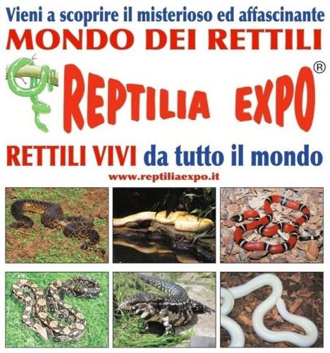 Reptilia Expo - Cornaredo