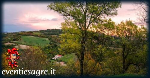 Foto Comune di Urbino