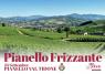 Pianello Frizzante, Valtidone Wine Fest 2016 - Pianello Val Tidone (PC)