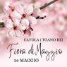 Fiera di Maggio a Cavola, Edizione 2024 - Toano (RE)