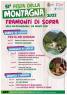 Festa Della Montagna a Tramonti di Sopra , Edizione 2022 - Tramonti Di Sopra (PN)